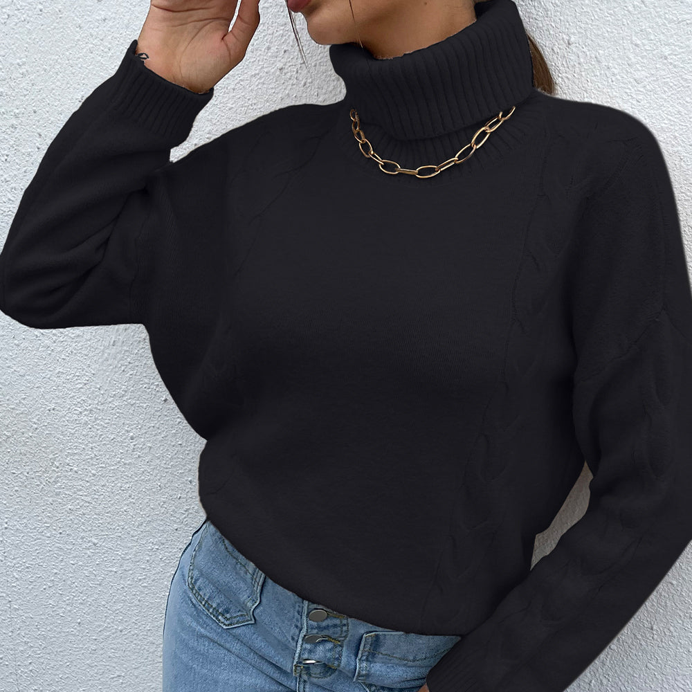 turtle neck long sleeve sweater