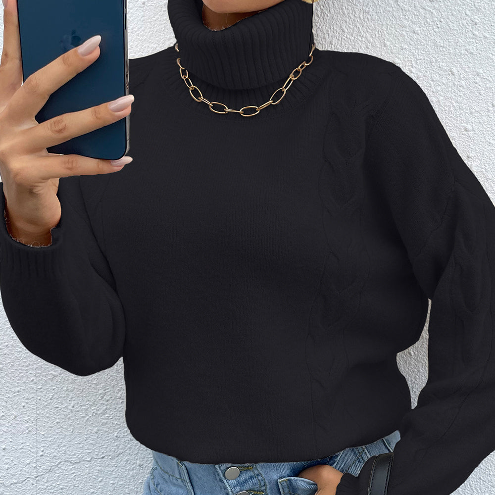 turtle neck long sleeve sweater