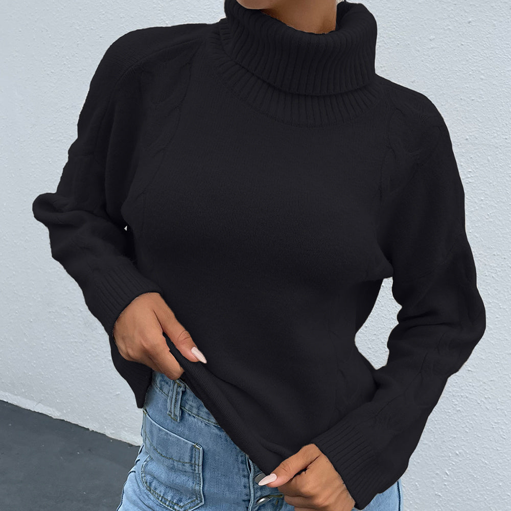 turtle neck long sleeve sweater